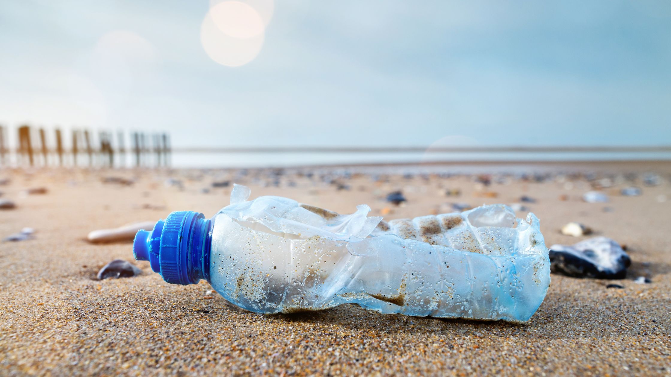 زجاجة بلاستيكية يتم جمعها من الشاطئ بواسطة تقنية الياكوستيك لإعادة تدويرها وصنع الألواح الصوتية